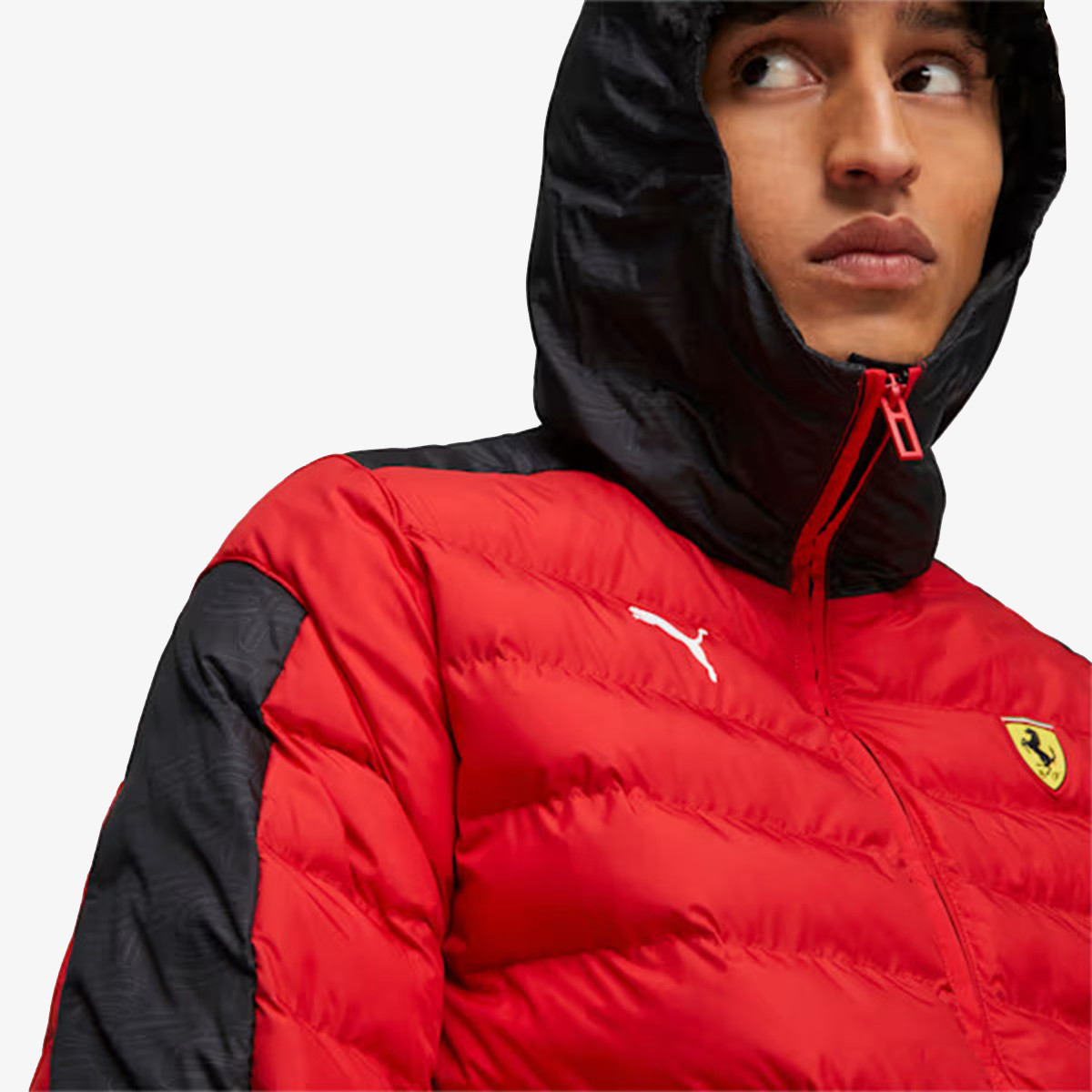 Ferrari Race MT7 Ecolite Padded Jacket R 